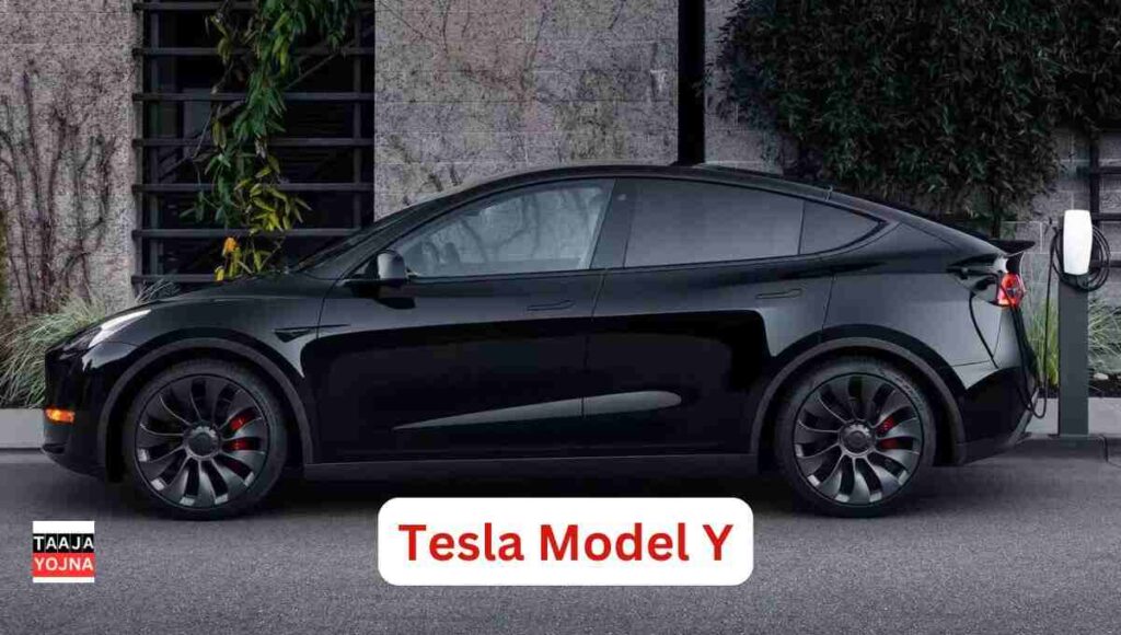 2020 Tesla Model Y